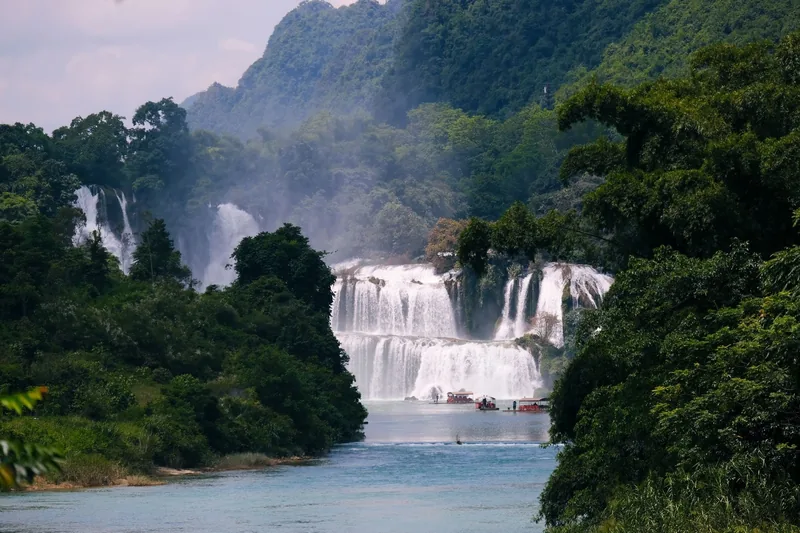 Wide waterfall cascades over limestone cliffs into a turquoise river surrounded by lush forest at Ban Gioc, Cao Bang.