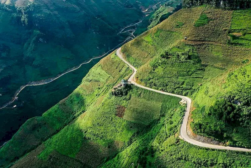 A winding mountain road curves along the green terraced slopes of Ma Pi Leng Pass in Ha Giang.