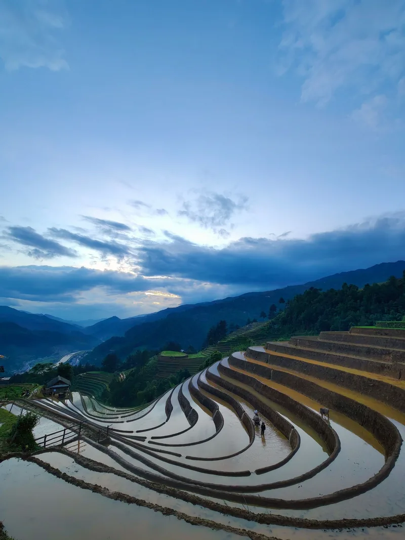 Curved water-filled rice terraces sweep across a hillside under a dramatic sky in Mu Cang Chai.
