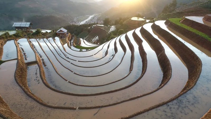 Water-filled terraced rice fields curve down a hillside at sunrise in Mu Cang Chai.